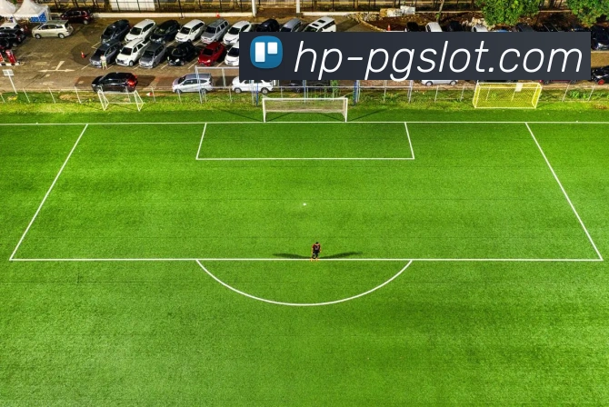 赏金女王官网平台生态图