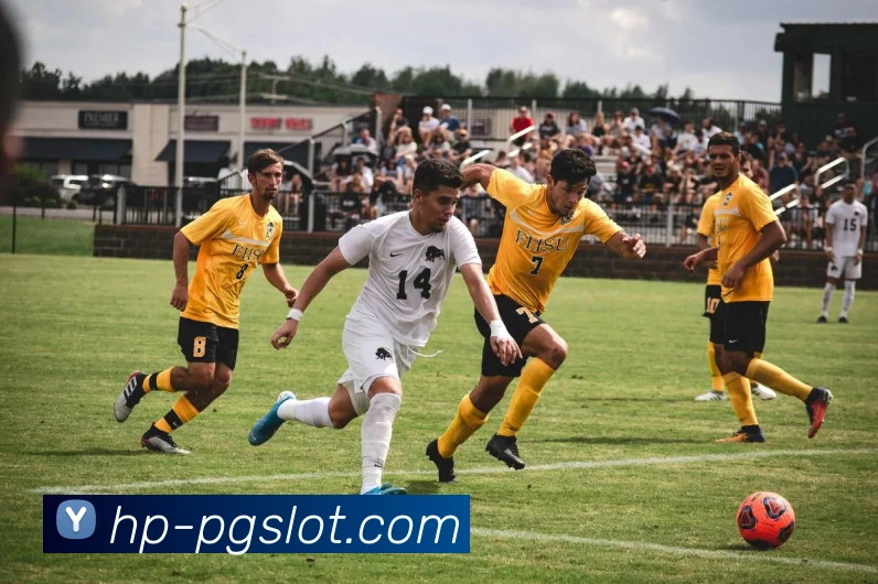 赏金女王官网APP 封面图